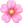 pink flower