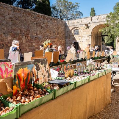 Festival international des Orchidées de Fontfroide